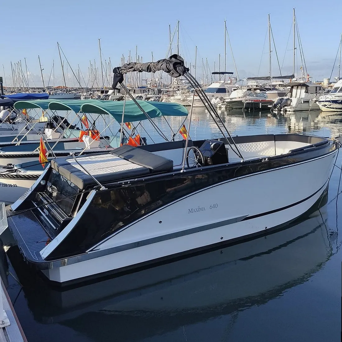 Salida en barco organizada desde Nigrán, Galicia